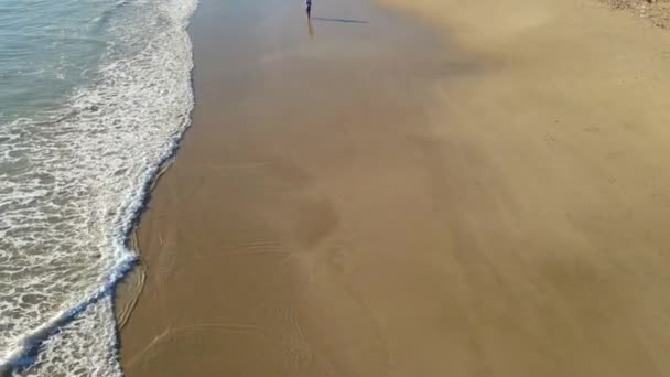 Drone vliegen over persoon wandelen langs het strand — Stockvideo