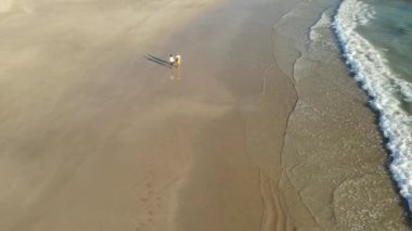 Kumsalda yürüyen iki kadının hava görüntüsü.