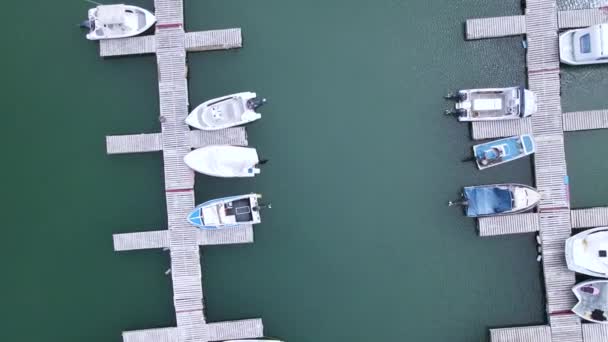 Flygfoto av båtar dockade i viken — Stockvideo