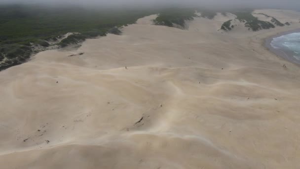 Drone volando sobre dunas de arena con una mujer vista corriendo por la duna — Vídeos de Stock