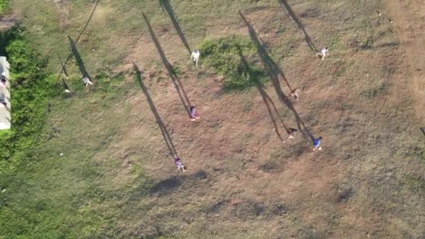 Vista drone de crianças jogando futebol em campo com sombras mostrando — Vídeo de Stock