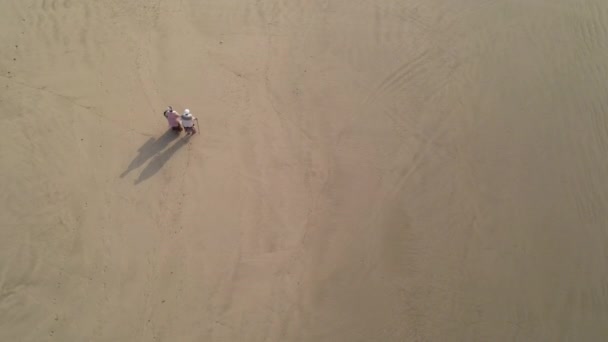 Letecký pohled na dvě staré dámy, jak se procházejí podél pobřeží — Stock video