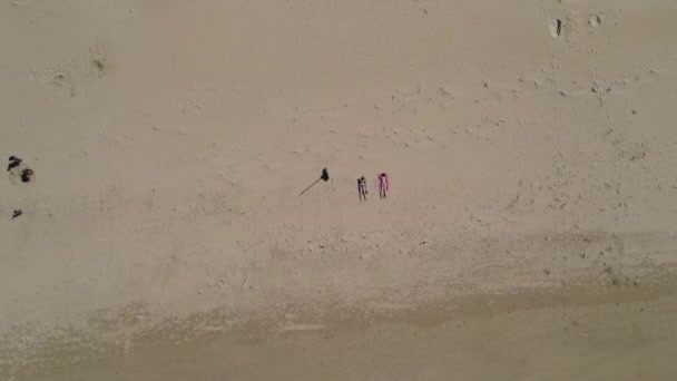 Vista aérea de personas tendidas en la playa y tomando el sol — Vídeos de Stock
