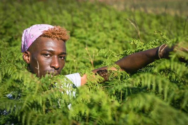 Porträt eines jungen Mannes, der zwischen Pflanzen sitzt — Stockfoto