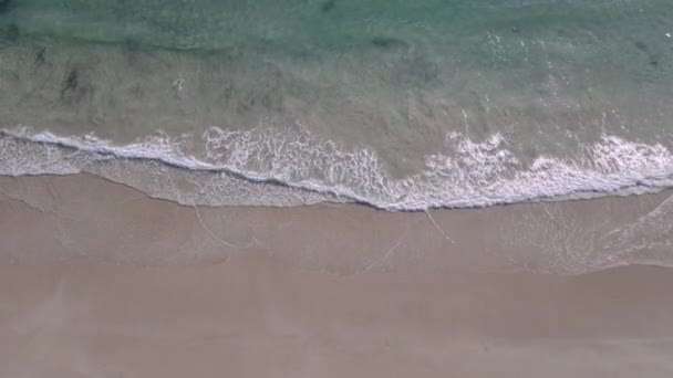 Drone vista delle onde visto lungo la costa con l'uomo nuoto e ragazzo a piedi in acqua — Video Stock