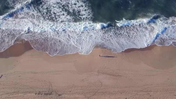 Luchtfoto van de mens gezien lopend langs de kustlijn — Stockvideo