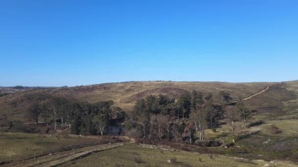 Drone panoramique loin des champs luxuriants — Video