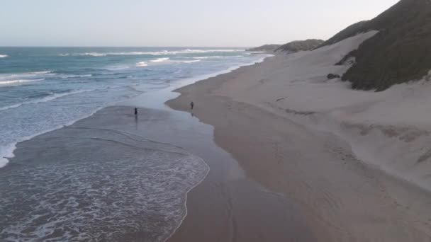 人々が歩いているのを見ながら海岸線を横断するドローン — ストック動画