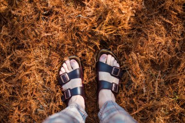 Makhanda, Güney Afrika Eylül 2021 Birkenstock sandaletleri yüksekten atılan yapraklar üzerinde 