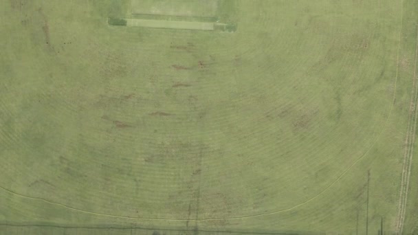 Dron przelatujący nad pustym polem krykieta — Wideo stockowe