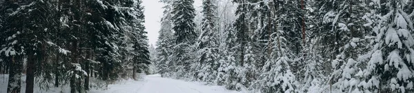 Winter Fichtenwald Eine Verschneite Straße Mit Kurven Und Wendungen Horizontale — Stockfoto