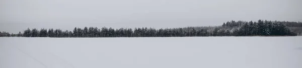 Panoramic Photos Winter Forest Background Snow Covered Lake — Stock Photo, Image