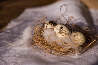 Yumuşak bir zemin üzerinde saman yuvasında bıldırcın yumurtaları. Kırsal tarzda parlak bir Paskalya tatili.