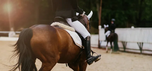 Cavalier Cheval Dans Une Compétition Dressage Vue Arrière Lumière Soleil — Photo