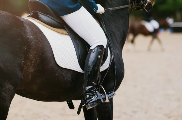 Cavaleiro Montando Cavalo Uma Competição Esportiva Equestre Close Estribo Adestramento — Fotografia de Stock