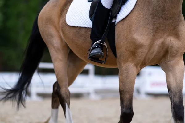 Cavaleiro Montando Cavalo Uma Competição Esportiva Equestre Close Estribo Adestramento — Fotografia de Stock