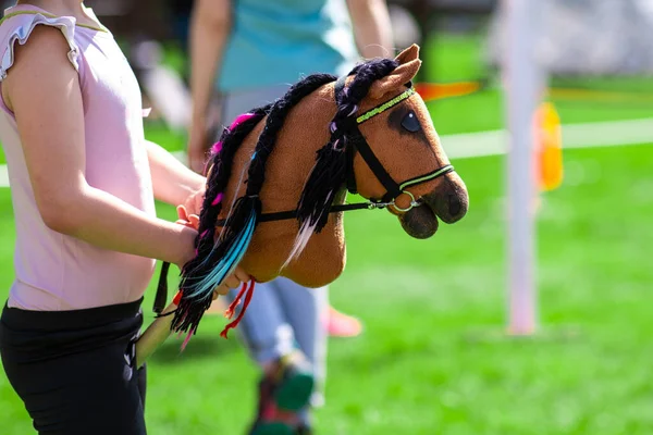 Entretenimiento Deportivo Infantil Hobby Hosting Cabeza Caballo Palo Creatividad Mostrar Imagen De Stock