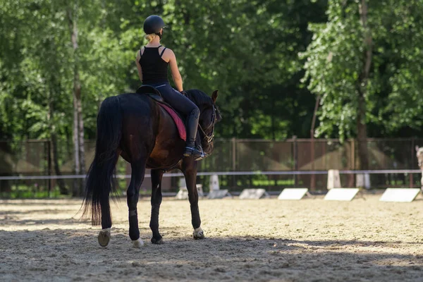 Girl trains in an open area on a bay horse. Studying the dressage scheme — Stock Photo, Image