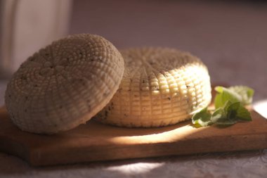 Tatlı genç Adighe peyniri. ev yapımı keçi sütü veya inek sütü. bir ışık demeti ile fotoğraf.