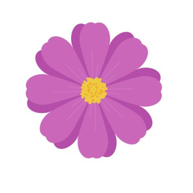 Önü renkli bir çiçek..