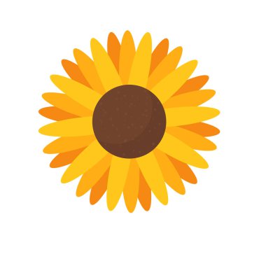 Önü renkli bir çiçek..