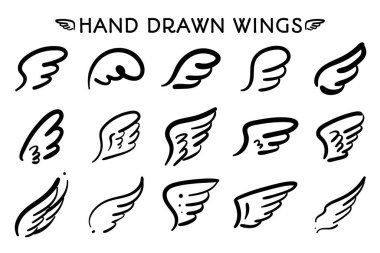 El çizgileri. Güzel tüylü melek kanatlarının gölgesi beyaz arka planda izole edilmiş..