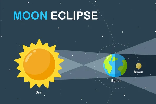 Wissenschaftlicher Unterricht Illustration Erde Und Mond Umkreisen Die Sonne Und — Stockvektor