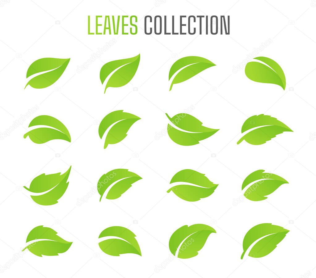 Simple flat green leaf design vector The concept of forest preservation by using natural products