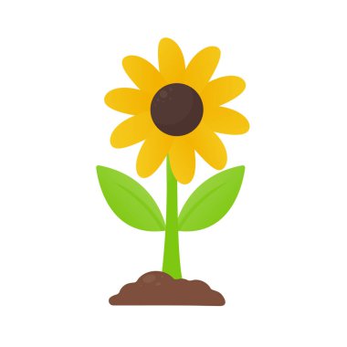 Ağaç büyümesi. Tohumdan filizlenen bir ağacı dikmek çiçeklerle filizlenir ve ölür..