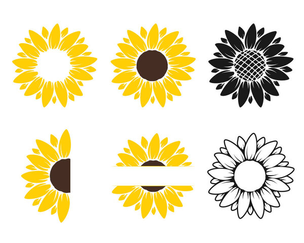 Vector yellow sunflower. Sunflower silhouette text frame Isolated on white background.