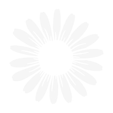 Düz papatya vektörü. Güzel beyaz çiçekler metin eklemek için alanı terk eder. Beyaz arkaplanda izole.