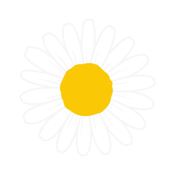 Plochý Daisy Vektor Krásné Bílé Květy Ponechávají Prostor Pro Přidání — Stockový vektor