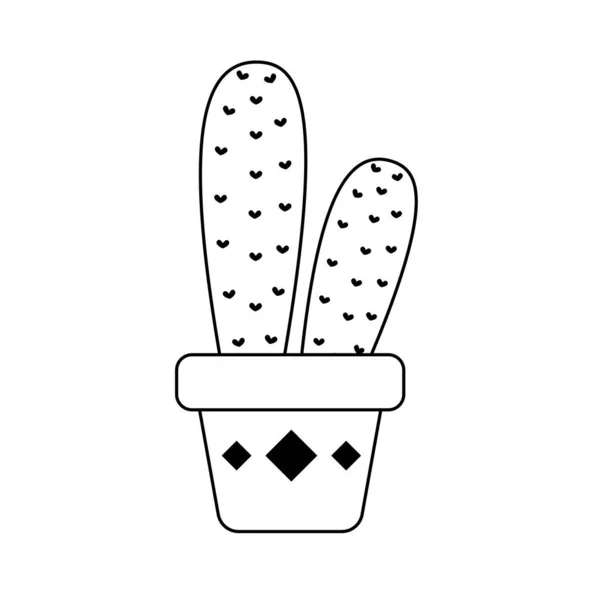 Cactus Vettoriale Vaso Cactus Una Varietà Piante Succulente Che Sono — Vettoriale Stock