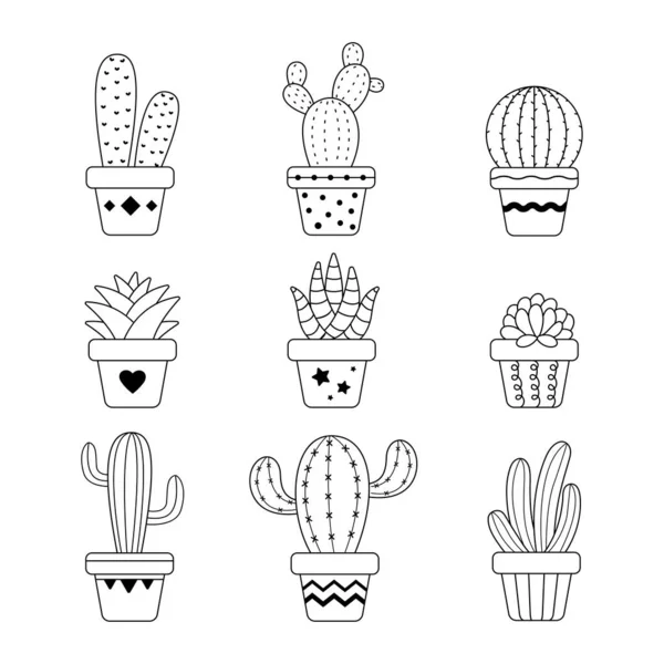 Cactus Vecteur Dans Une Plante Pot Cactus Une Variété Plantes — Image vectorielle
