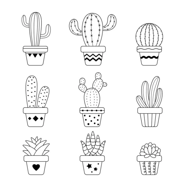 Vektorový Kaktus Květináči Kaktus Různé Šťavnaté Rostliny Které Jsou Populární — Stockový vektor