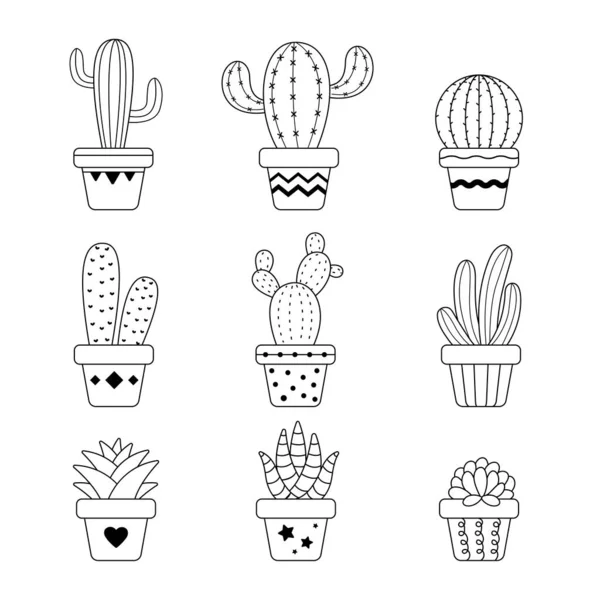 Cactus Vecteur Dans Une Plante Pot Cactus Une Variété Plantes — Image vectorielle