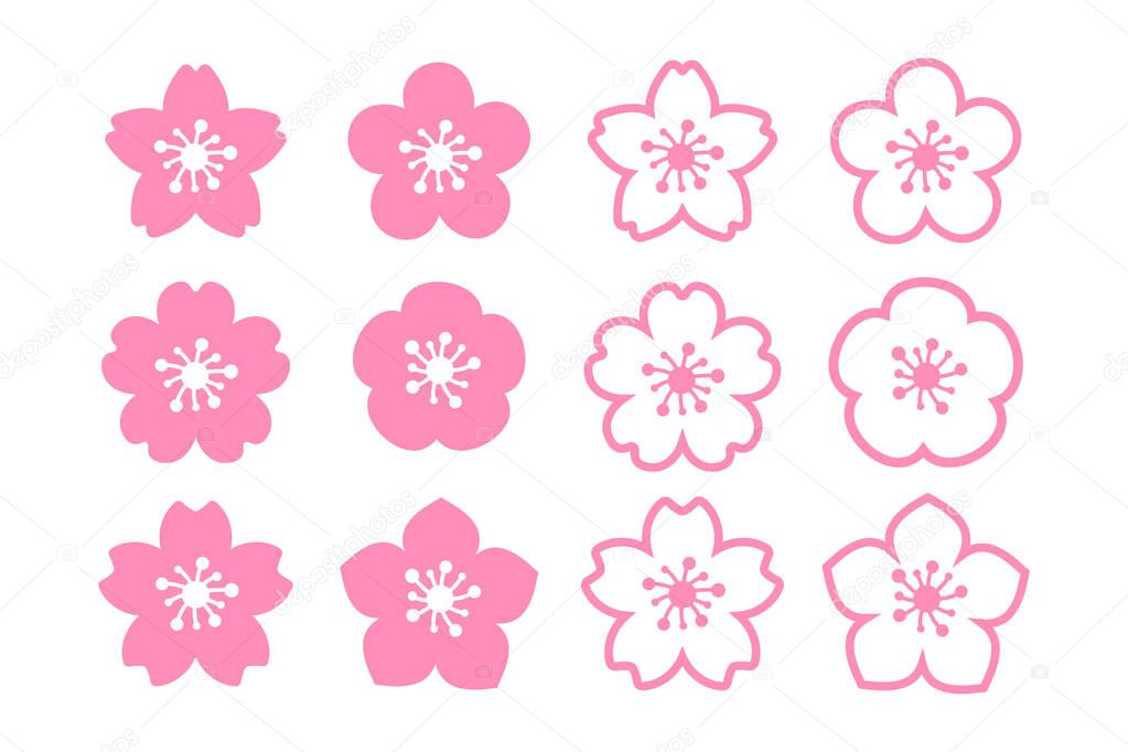 Cherry blossom vector Pink cherry blossoms blooming Isolated on white background
