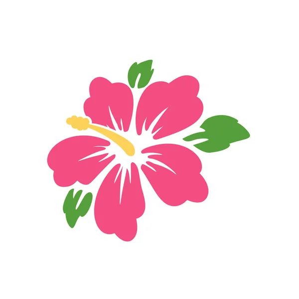 Vecteur Fleur Hibiscus Rose Isolé Sur Fond Blanc — Image vectorielle