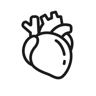 Human heart. The heart is an important organ. It helps to pump blood to various parts of the body.