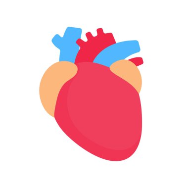 Human heart. The heart is an important organ. It helps to pump blood to various parts of the body.