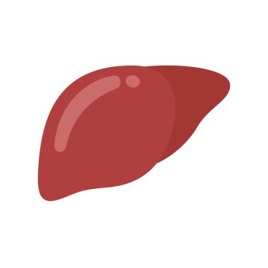 Liver icon. The liver is the human internal organ that helps filter toxins and waste from the body.