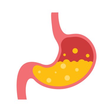Stomach icon. The stomach contains gastric juice to aid digestion and ascend to the intestine.