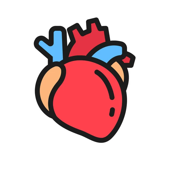 Coração Humano Coração Órgão Importante Ajuda Bombear Sangue Para Várias — Vetor de Stock