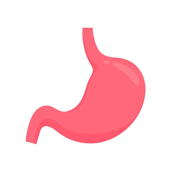 Stomach Icon Stomach Contains Gastric Juice Aid Digestion Ascend Intestine — Stok Vektör