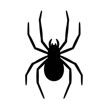 Terk Edilmiş Ev Dehşeti 'nin Cadılar Bayramı için Asılan Örümceğin silüeti