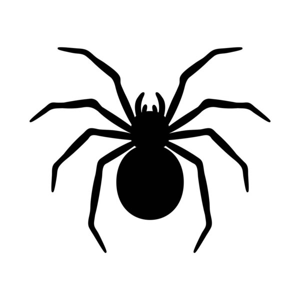 Силуэт паука, висящего на паутине заброшенных идей ужасов дома на Хэллоуин