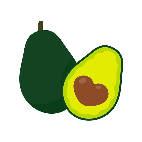 Avocado Vector Avocado Fruit Cut Pieces Seed Health Care — Stock Vector