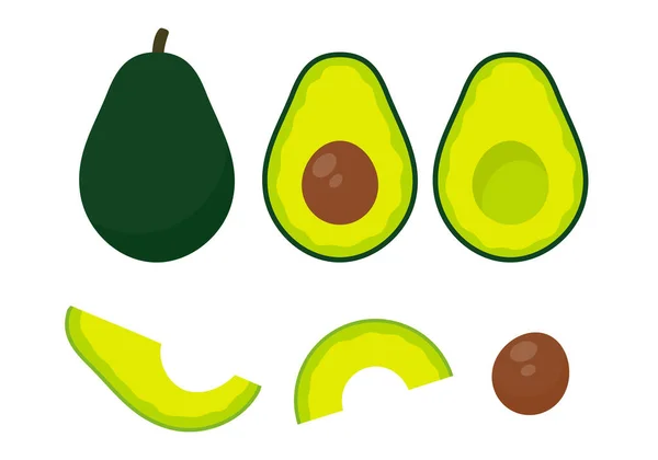 Avocado Vector Avocado Fruit Cut Pieces Seed Health Care — Stock Vector