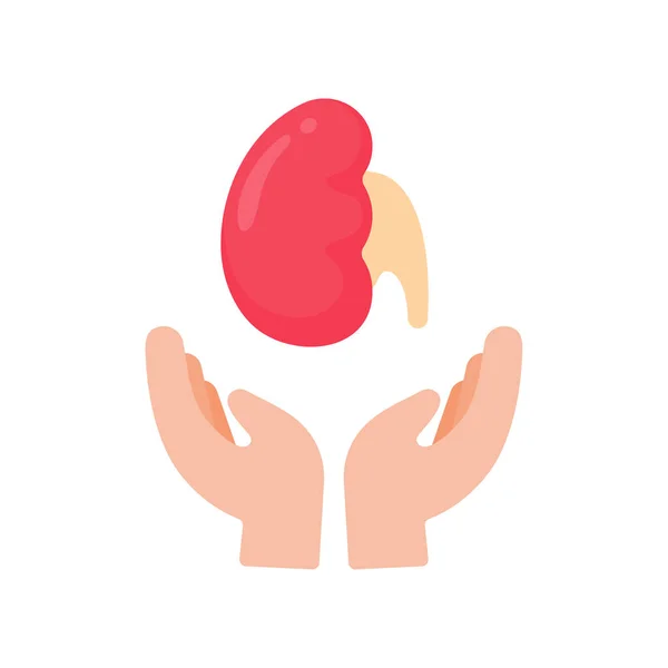 Hand Supports Internal Organs Concept Organ Donation Treatment Patients — Image vectorielle