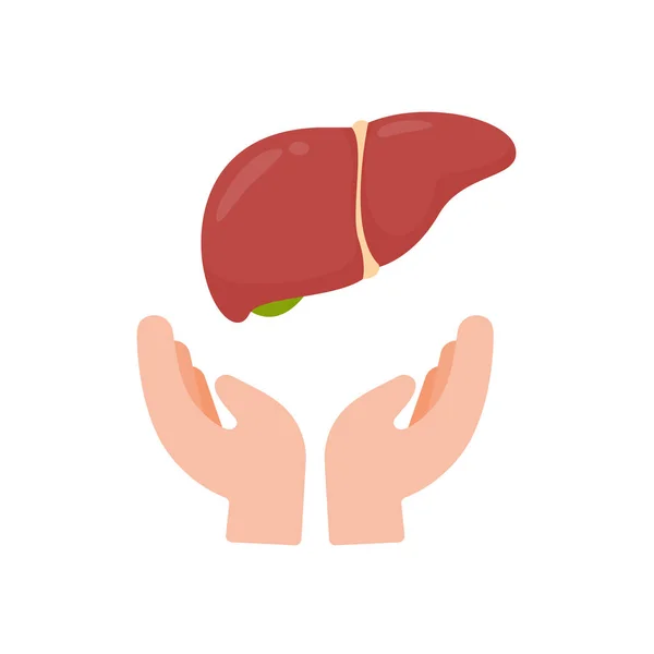 Hand Supports Internal Organs Concept Organ Donation Treatment Patients — Stok Vektör